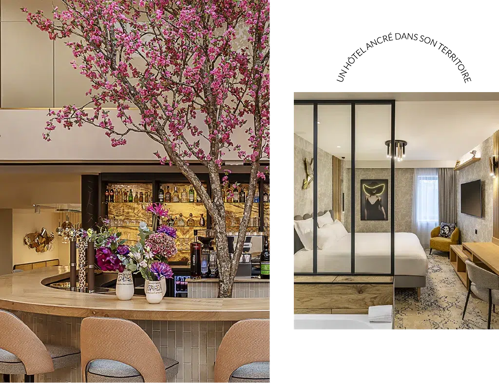 hotel saint roch home fr